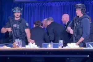 IMG_4118.jpeg