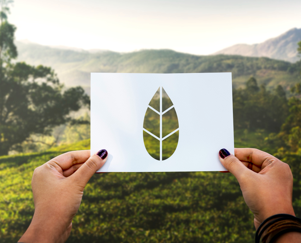Unlock-firma-parceria-com-Carbon-Free-Brasil-para-neutralizar-impacto-ambiental.jpg